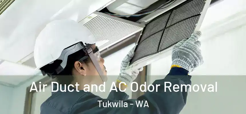 Air Duct and AC Odor Removal Tukwila - WA
