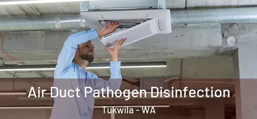  Air Duct Pathogen Disinfection Tukwila - WA