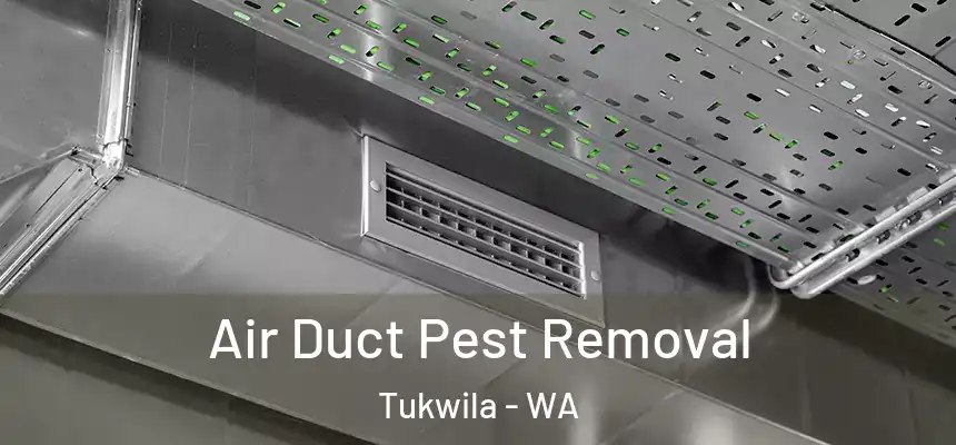 Air Duct Pest Removal Tukwila - WA