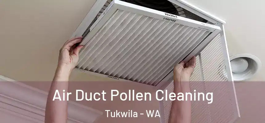 Air Duct Pollen Cleaning Tukwila - WA