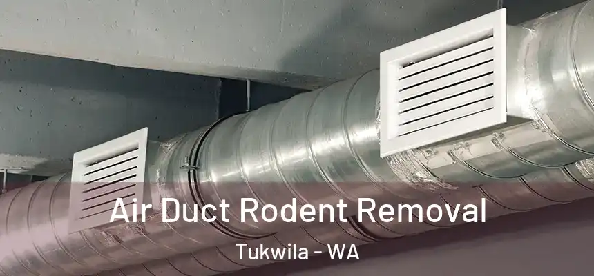  Air Duct Rodent Removal Tukwila - WA