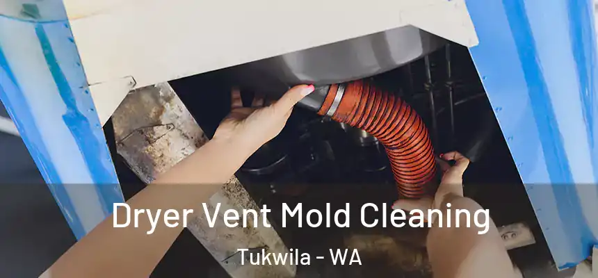 Dryer Vent Mold Cleaning Tukwila - WA