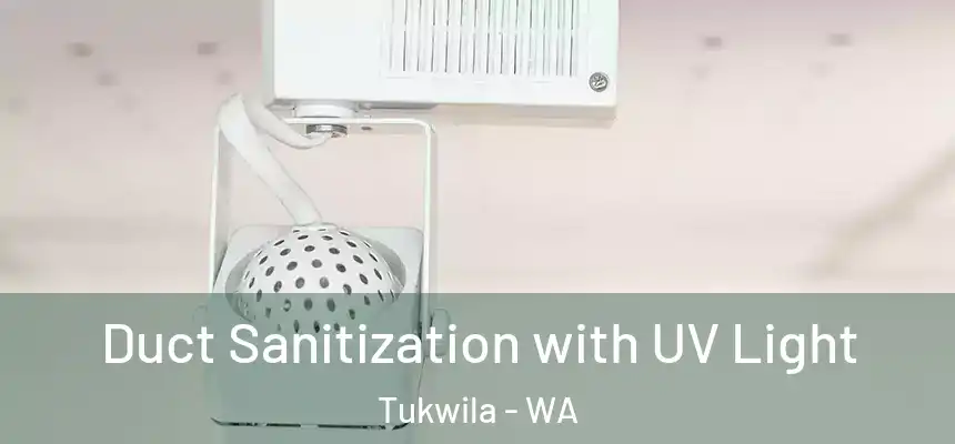  Duct Sanitization with UV Light Tukwila - WA