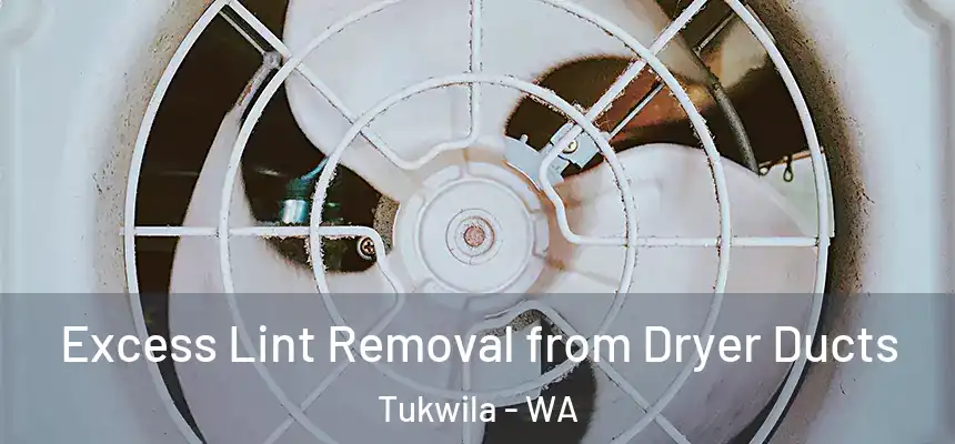 Excess Lint Removal from Dryer Ducts Tukwila - WA