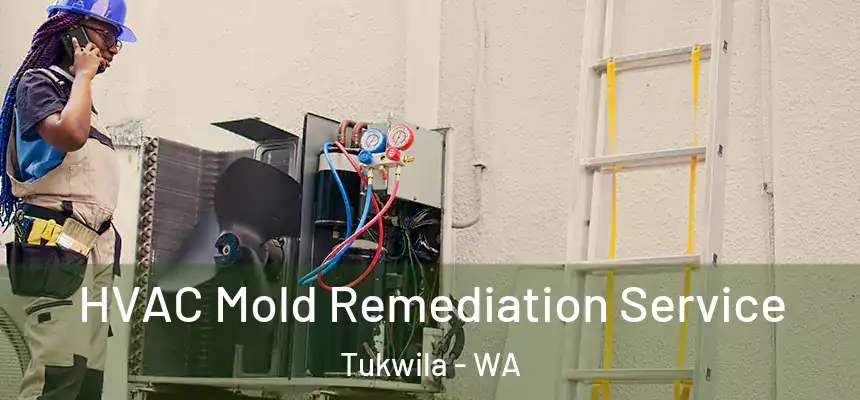 HVAC Mold Remediation Service Tukwila - WA