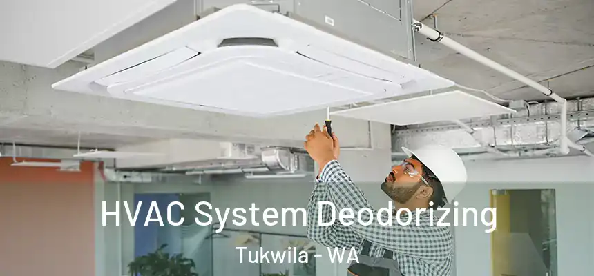 HVAC System Deodorizing Tukwila - WA