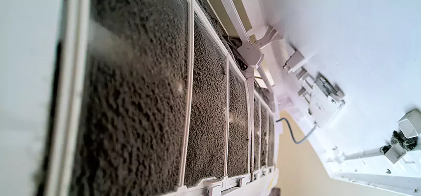 Preventive Air Duct Bacteria Removal in Tukwila