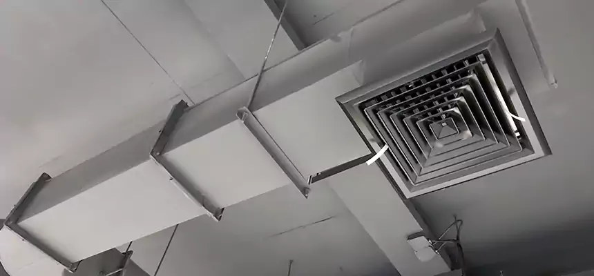 Our Pest Removal From Ducts Services in Tukwila, WA