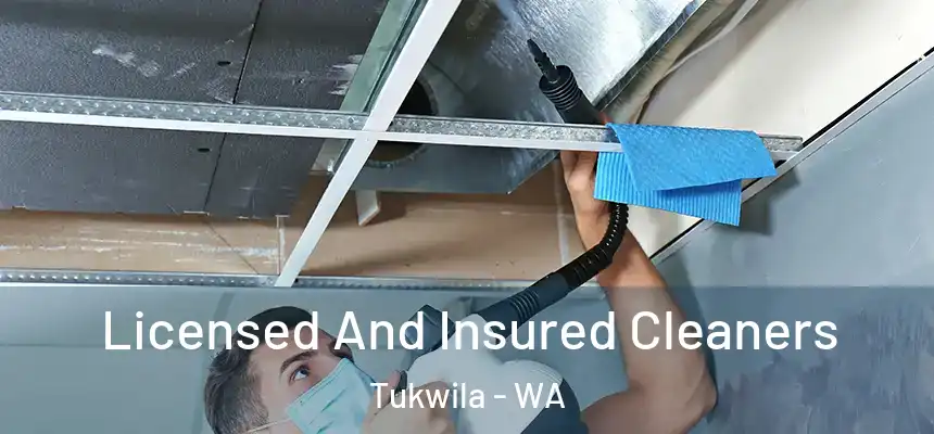 Licensed And Insured Cleaners Tukwila - WA