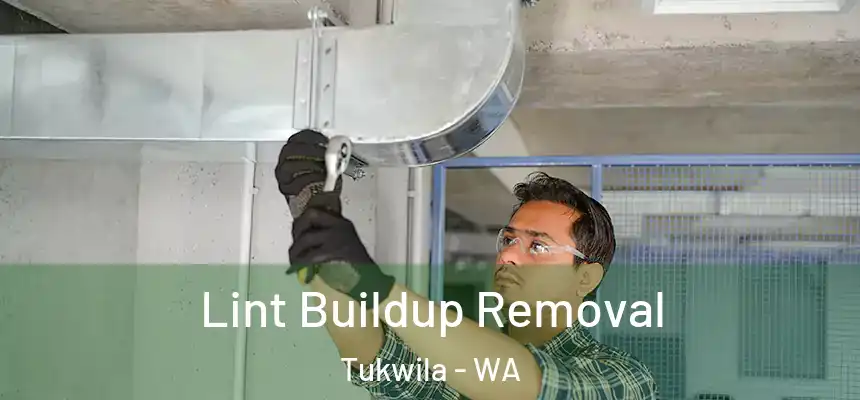  Lint Buildup Removal Tukwila - WA