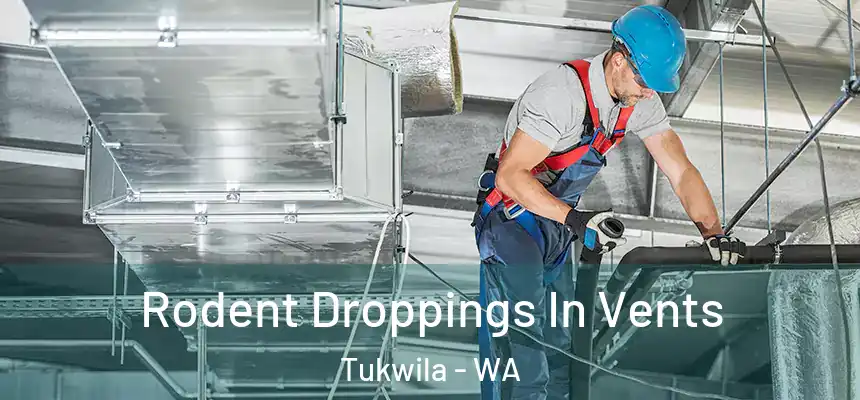 Rodent Droppings In Vents Tukwila - WA