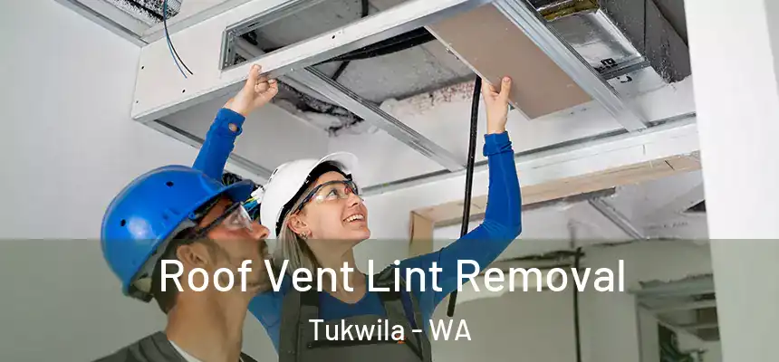 Roof Vent Lint Removal Tukwila - WA