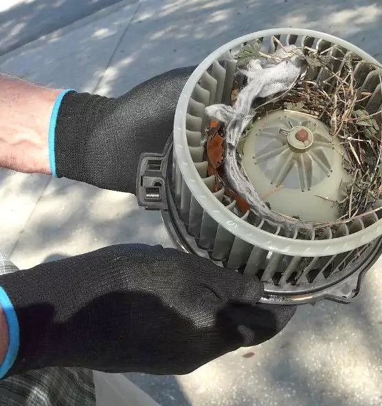 About Air Duct Mice Removal in Tukwila, WA