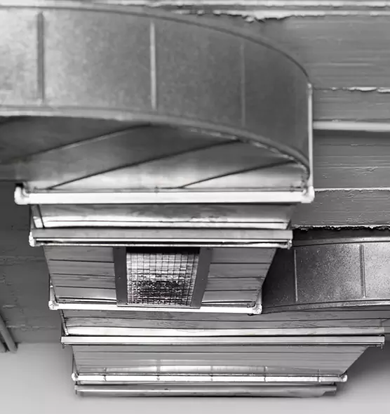 Professional Air Duct Pet Hair Removal in Tukwila, WA