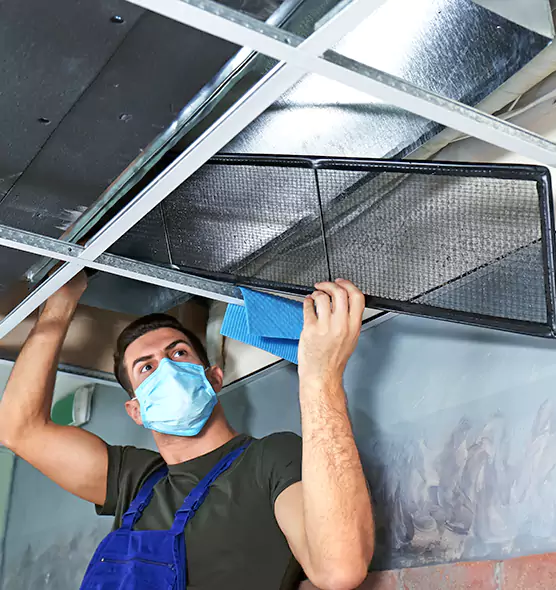 Professional Air Duct Pollen Cleaning in Tukwila, WA