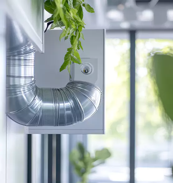 Professional Eco-Safe Dryer Vent Cleaning in Tukwila, WA