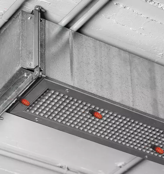Affordable Insect Removal from Air Ducts in Tukwila, WA