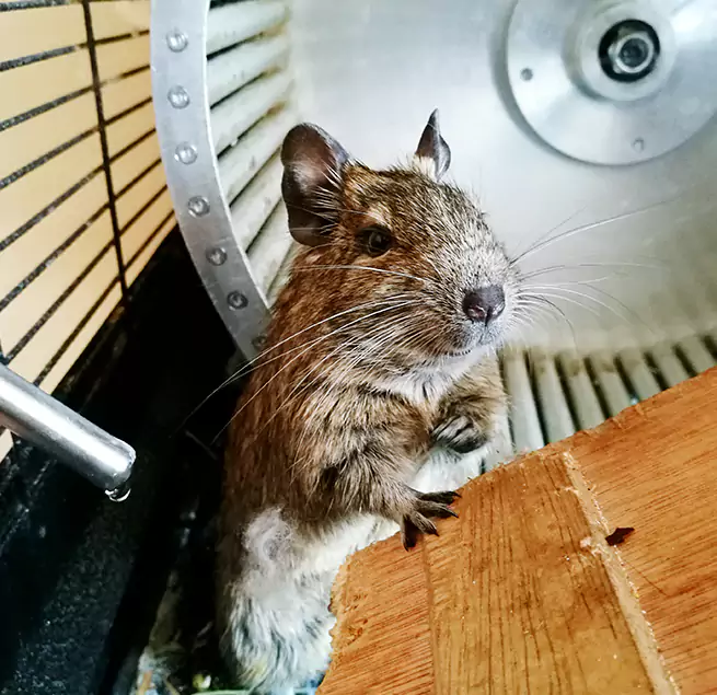 Why Homeowners & Businesses Trust Us Tukwila, WA?