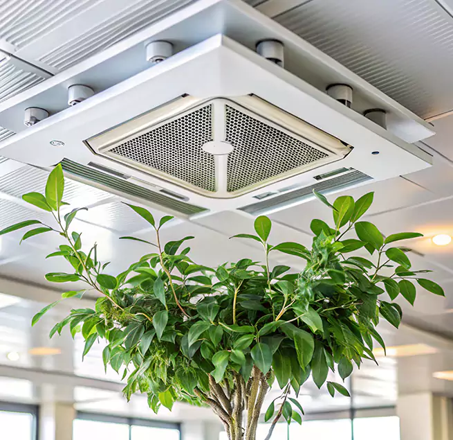 Why Homeowners & Businesses Trust Us in Tukwila, WA?