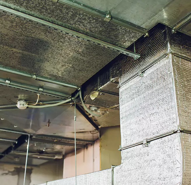 Why Homeowners & Businesses Trust Us in Tukwila, WA?